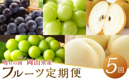 
            定期 2026年  晴れの国 岡山県産 フルーツ定期便 5回コース
          