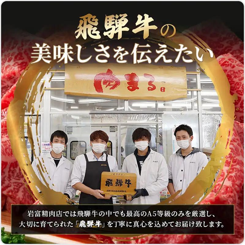 飛騨牛焼肉セット ロース カルビ A5 和牛 飛騨牛焼肉セット【計600g】