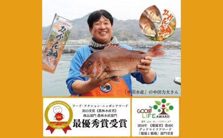 みかん鯛 270g~350g 半身 2節 宇和島プロジェクト 刺身 みかん 刺身 蜜柑 刺身 柑橘 刺身 真鯛 刺身 鯛 刺身 マダイ 刺身 タイ 刺身 刺身 お刺身 刺身 お刺し身 刺し身 冷凍 刺
