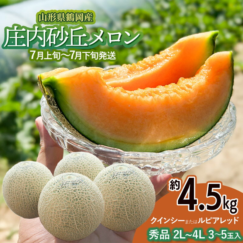 【ふるさと納税】【令和8年産先行予約】 庄内砂丘メロン（赤肉）約4.5kg 2L〜4L 【秀品】 3〜5玉入 【7月上旬〜下旬頃発送予定】山形県鶴岡産 紅花メロン 丸果庄内青果