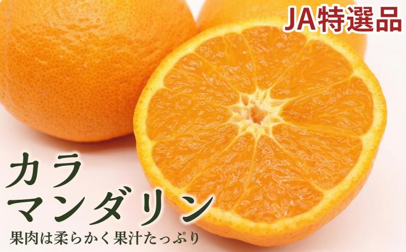 
                  【2026年4月下旬ごろから順次発送】JAえひめ中央  JA特選品 カラマンダリン 赤秀~青秀 約5kg 数量限定 おすすめ 人気
                