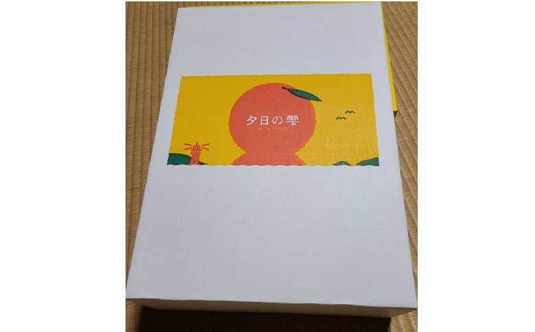 みかん 愛果28号 贈答用 L～2L 12～15玉 【2025年12月から順次発送】 先行予約 数量限定 柑橘 人気 伊予侍ファーム 愛媛 伊予市｜C138