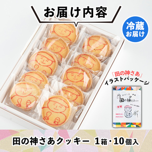 isa472 伊佐米使用！ 田の神さあクッキー(1箱・10個入)お菓子 洋菓子 お米 グルテンフリー スイーツ 卵不使用 鹿児島 クッキー おやつ 菓子 お菓子【ケーキハウストリコロール】