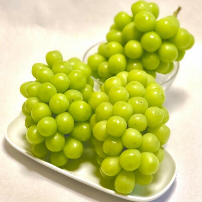 【ふるさと納税】2026年先行予約【見た目は訳あり?味は満足!】農福連携シャインマスカット計1kg【ご家庭用】【配送不可地域：離島】【1679907】