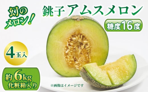 【ふるさと納税】 幻のメロン！銚子アムスメロン（4玉入り 6kg） メロン 青肉 果物 フルーツ ギフト プレゼント 贈答 お取り寄せ デザート スイーツ ケーキ ゼリー ジュース フルーツサンド 糖度 国産 千葉県 銚子市