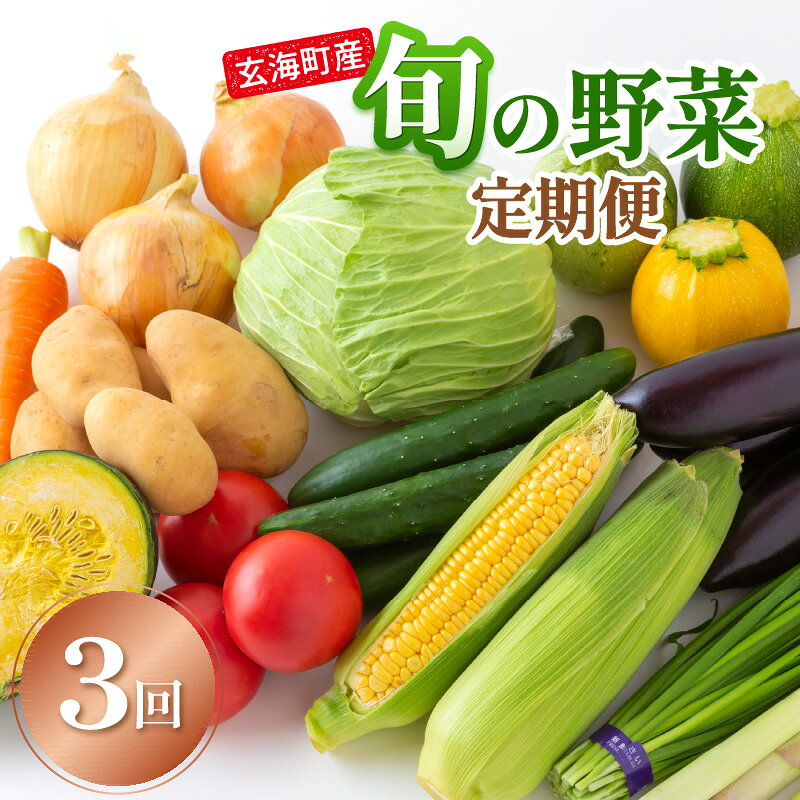 【ふるさと納税】玄海町産 旬の野菜定期便（3ヶ月） ／ 産地直送 旬 農家 野菜 セット 佐賀県 玄海町