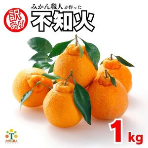 先行受付 訳あり 不知火 1kg 【発送期間：2月中旬～なくなり次第終了 】 しらぬい かんきつ 柑橘 みかん 蜜柑 でこぽん おやつ きず 傷 ふぞろい 不揃いフルーツ 果物 くだもの 果実 愛媛県 愛南町 みかん職人武田屋