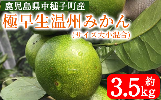 n132 【数量限定】＜先行予約受付中！2025年9月上旬～10月下旬頃に順次発送予定＞鹿児島県種子島産！極早生温州みかん(約3.5kg) 国産 蜜柑 ミカン 柑橘 サイズ大小混合 果物 フルーツ くだもの 旬 【提果樹園】