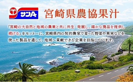 【定期便 12か月】 霧島山麓の天然水 590ml×24本入 12回 サンＡ ミネラルウォーター 飲料水 常温保存 宮崎 12か月定期便