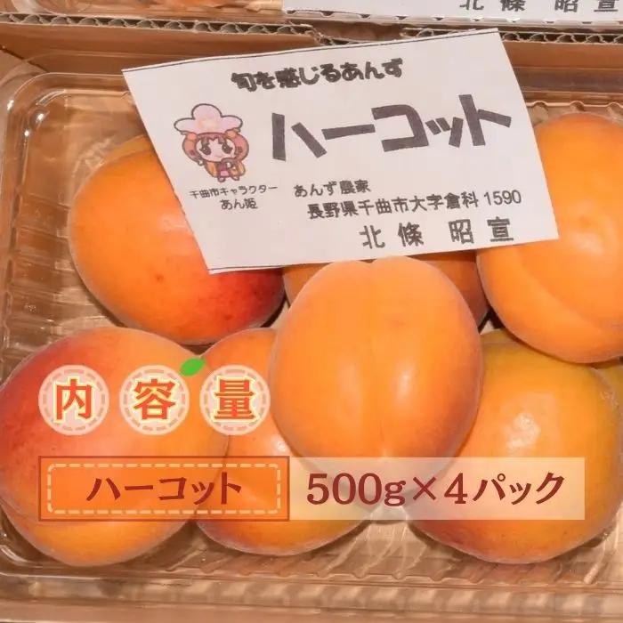 【2027年先行予約】生食用あんずハーコット2kg（約500g×4パック）| あんず