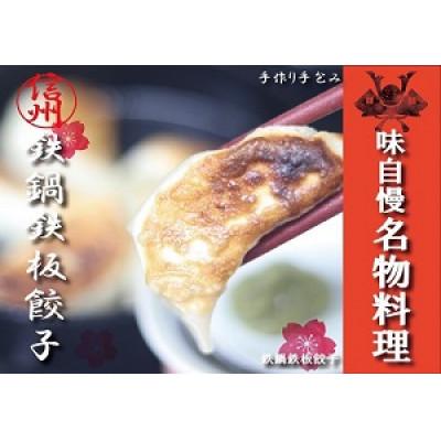 ふるさと納税 長野県 手仕込み肉汁信州餃子