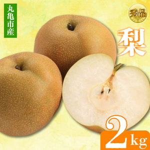 【2025年8月上旬より順次発送】【秀品】梨 約2kg 梨 梨 梨 梨