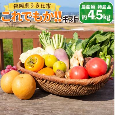 ふるさと納税 うきは市 道の駅うきは これでもか!!旬の農産物セット (約4.5kg) |  | 01