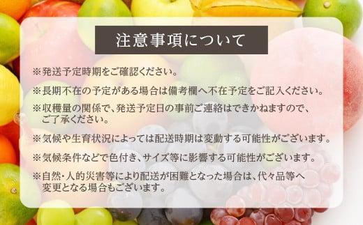 【先行予約】飛騨高山産 山本果樹園 旬の飛騨りんご 約3kｇ(9個～12個）| 9月中旬～ 順次発送 りんご 果物 フルーツ おいしい 大容量 飛騨高山 山本果樹園 MA002