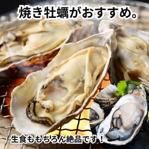篠島2種の天然殻付きカキ1kg(岩牡蠣&真牡蠣)食べ比べセット 生食用/CAS冷凍 海鮮BBQに