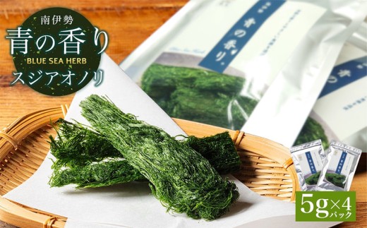 すじ青のり 5ｇ×4パック 海藻 元藻 スジアオノリ 青のり あおのり 海苔 玉子焼き お好み焼き たこ焼き お味噌汁 味噌汁 お吸い物 スープ お茶漬け 三重県 伊勢 志摩 南伊勢 10000円 1万円 一万円「南伊勢 青の香り」