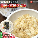 【ふるさと納税】＜パックご飯 ひめの凛 白米×玄米ごはん 160g入り×6個/12個＞ ※翌月末迄に順次出荷します。選べる個数 愛媛のブランド米 ライス エコえひめ認証 特別栽培米 うちぬき水 常温保存 非常食 防災 災害 備蓄 一人暮らし 鍋屋ファーム 愛媛県 西条市 【常温】