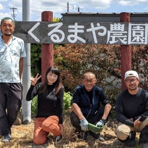 【フルーツ王国直送！】山形の大玉すいか（羅皇ザ・スウィート）１個　0033-2603