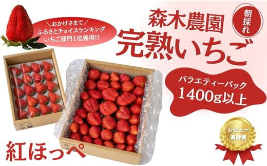 
060-25　いちごバラエティーパック1400ｇ以上【紅ほっぺ】
