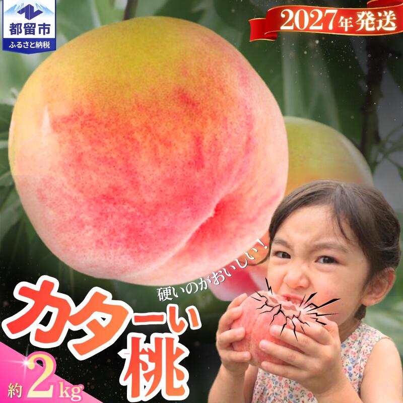 【ふるさと納税】【2027年　先行予約】日本一の産地山梨県産　朝採れカターい桃 約2Kg（5～8玉） | 山梨県 都留市産 朝採れ 2027年 先行予約 品種おまかせ クール便 フルーツ 果物 もも モモ 数量限定 期間限定