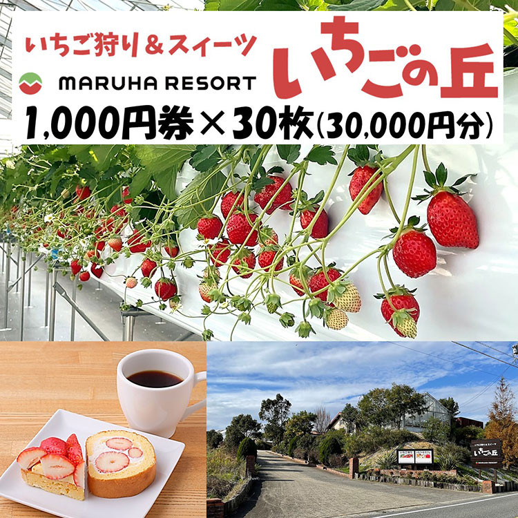 
まるは食堂 マルハリゾート いちごの丘1,000円券30枚（30,000円分） ※着日指定不可
