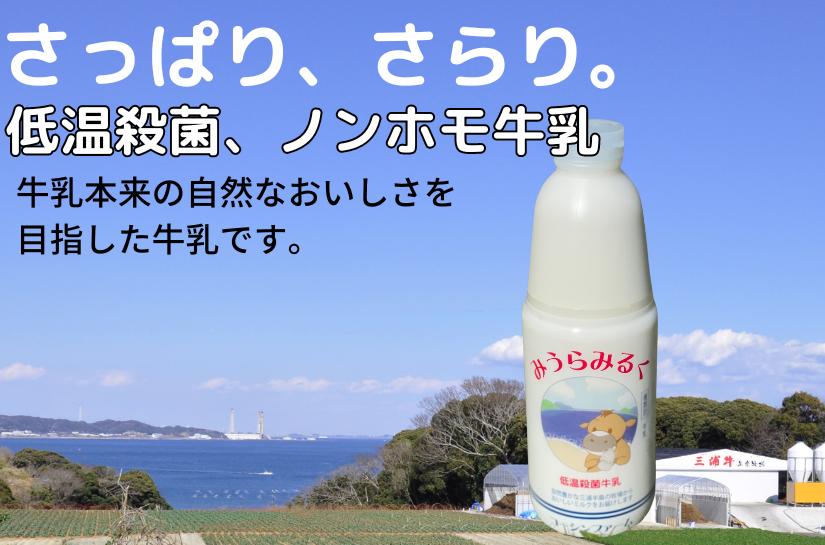 
            【低温殺菌牛乳】みうらみるく900ml×4本　M091-001
          