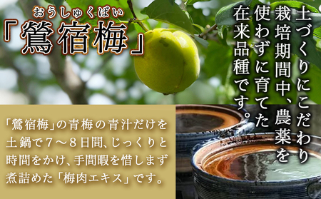 徳重おばあちゃんが受け継いだ梅肉エキス30g_AA-4901_(都城市) 鶯宿梅 おうしゅくばい 梅肉エキス(30g×1本) ミネラル成分たっぷり 栽培期間中農薬不使用の梅 梅エキス うめエキス 有限