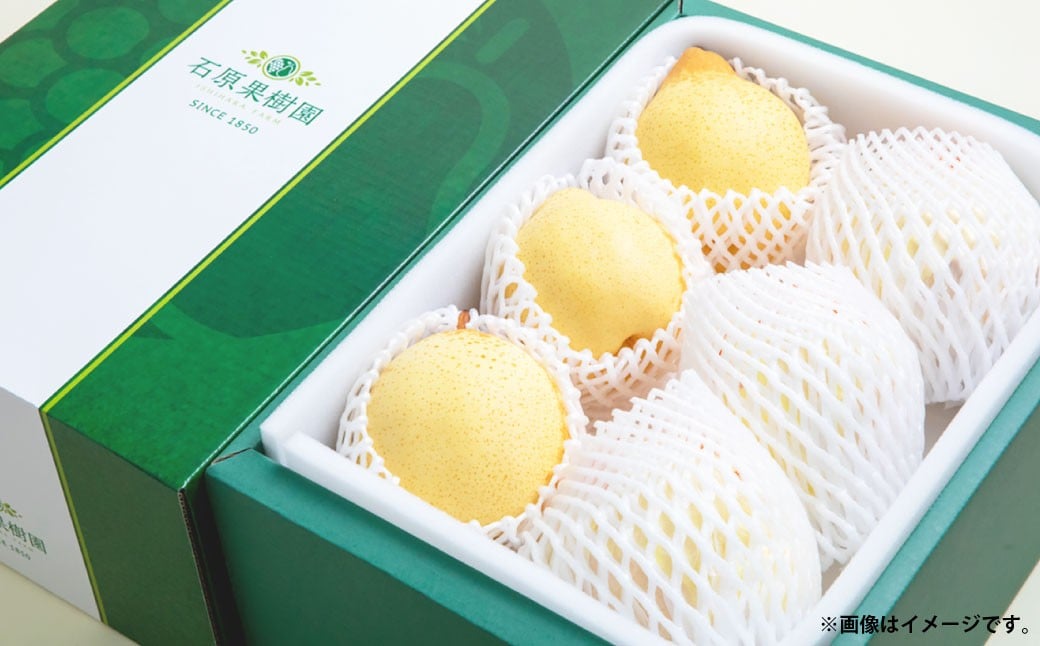 
            鴨梨 （ヤーリー） 5～7玉 約3kg 贈答箱 ／ 梨 なし ナシ 果物  【2025年11月下旬～12月下旬発送予定】
          