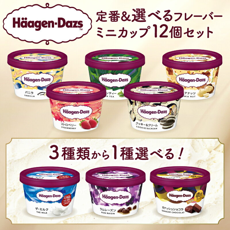 ハーゲンダッツ ミニカップ 6種 × 2個 合計 12個 セット 詰め合わせ 110ml バニラ ストロベリー グリーンティー クッキー&クリーム マカデミアナッツ リッチミルク アイス アイスクリーム お取り寄せ お取り寄せスイーツ 北海道 浜中町 冷凍 送料無料