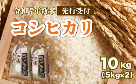 【先行受付】令和7年新米 コシヒカリ 白米10kg（5kg×2袋）2025年8月下旬～ お米 米 精米 ごはん ご飯 広島県 三原市 187005