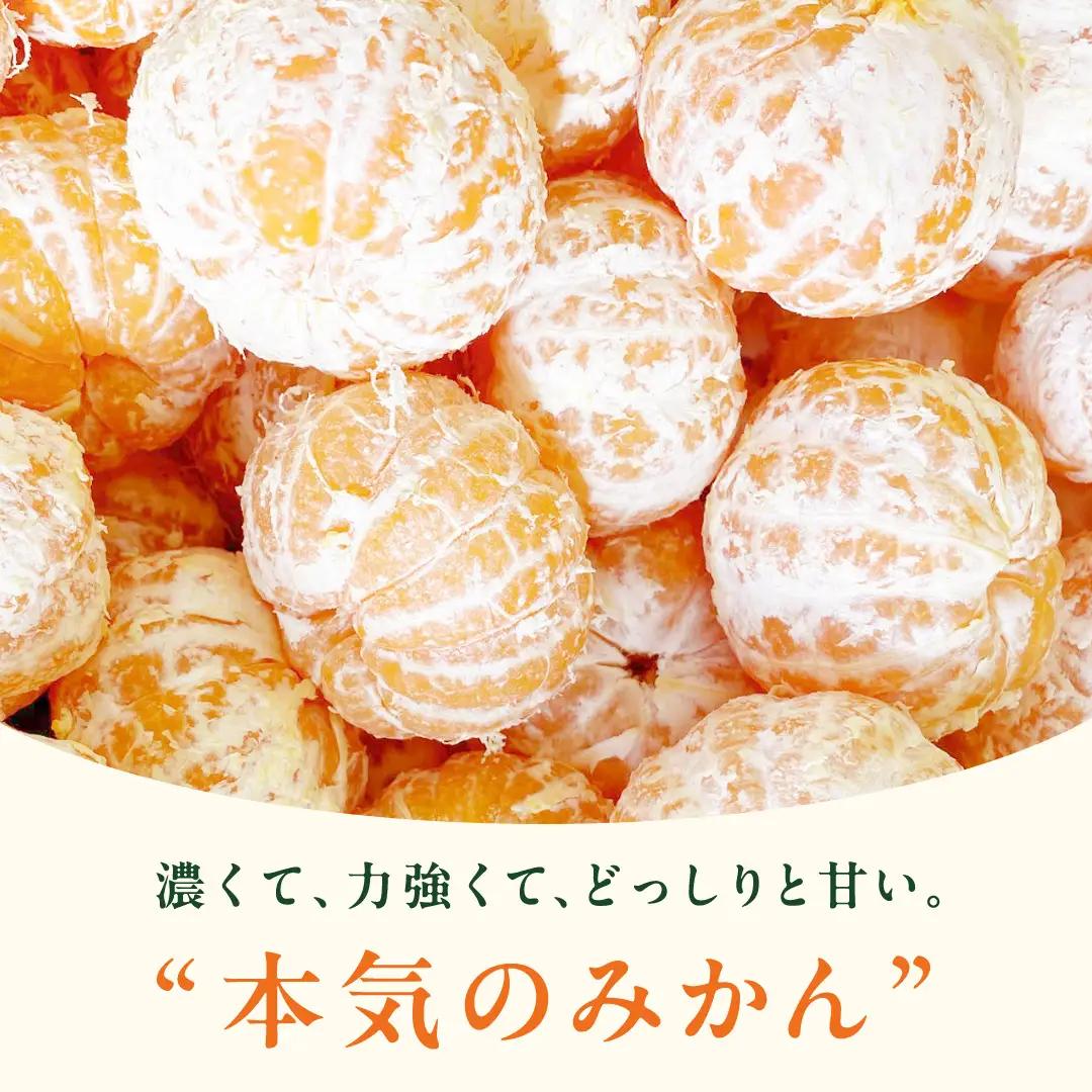 オーガニック 瀬戸内みかん 約10kg (70～130個程度) 【2026年10月中旬～1月発送】 国産 有機JAS認証