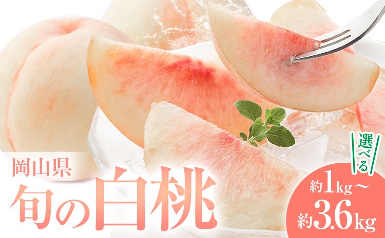 
                  桃 岡山県の旬の白桃 選べる 約1kg 約2kg 約3.6kg【配送不可地域あり】花田青果株式会社《6月下旬-8月下旬頃出荷予定(土日祝除く)》岡山県 浅口市 白桃 桃 もも 旬 フルーツ 果物
                