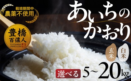 農薬不使用米 あいちのかおり 10kg ≪白米≫