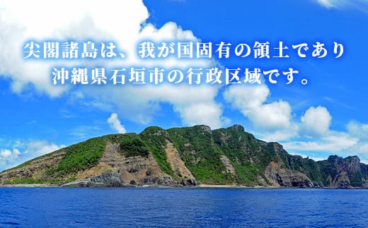 【返礼品なし】石垣市の宝「尖閣諸島」資料収集及び情報発信等事業 の為の寄附(100000円)