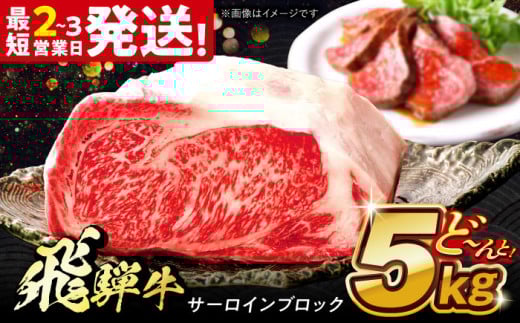 飛騨牛 極上 サーロイン ブロック 5kg 多治見市 / 養老ミート 飛騨牛 牛肉 和牛 冷凍 和牛 ギフト [THG014]