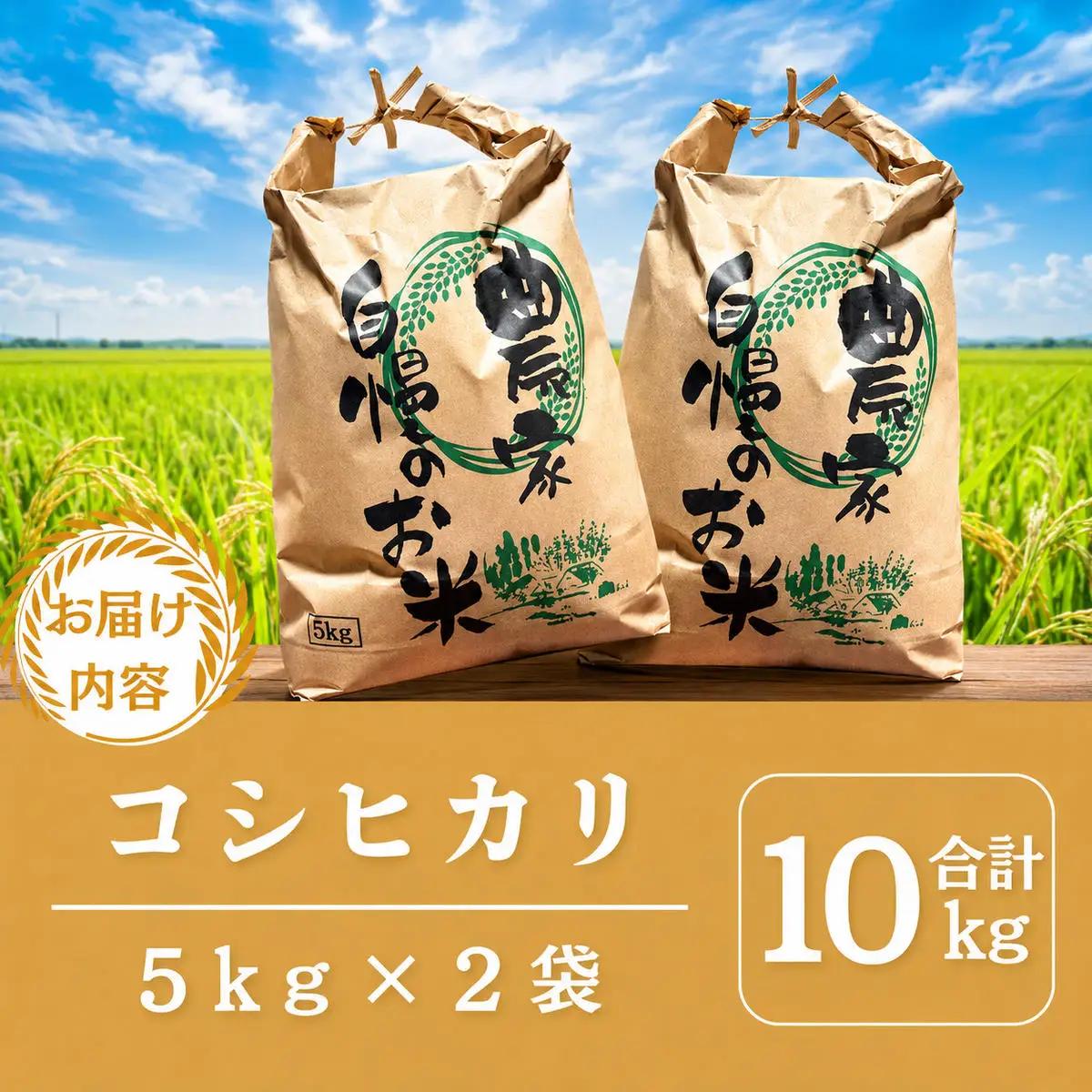 無洗米 コシヒカリ 10kg 米 お米 京都丹波産 無洗米