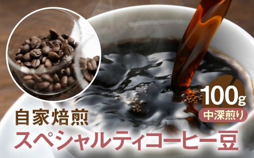 自家焙煎コーヒー豆（中深煎り)100g 珈琲 飲料 ドリップバッグ コーヒードリップ