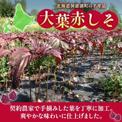 ふるさと納税 洞爺湖町 北海道 とうやの赤しそジュース 2本入り 希釈用 ピュアフーズとうや 洞爺湖町 |  | 02