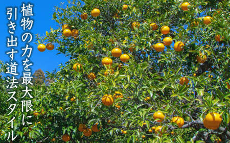 【先行予約 ３月出荷】  おわせの雨夏（あまなつ）  5kg　無農薬 ワックス・防腐剤不使用 木成り 完熟 甘夏  ギフト 贈答 日用 でも使える 三重 尾鷲 の 柑橘 特産品  TK-12