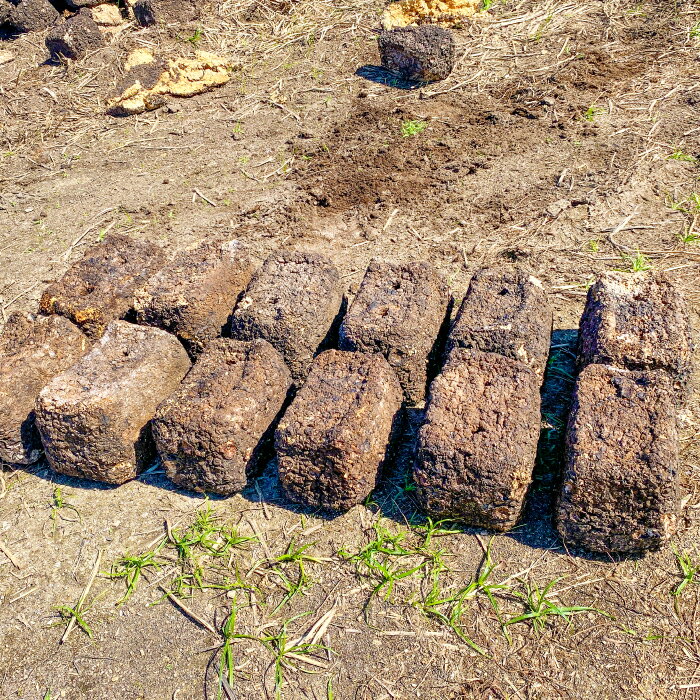 【ふるさと納税】家庭菜園やカブトムシ・クワガタムシのマットに。廃菌床12個入り サステナブル 家庭菜園 土壌 再利用 廃菌床