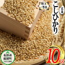 【ふるさと納税】 玄米 コシヒカリ 10kg 特A 沖縄県への配送不可 長野県 飯綱町 ふるさと振興公社 【 お米 こしひかり 信州 長野 信州のお米 米 18000円 】 [お届け1回 (***)]