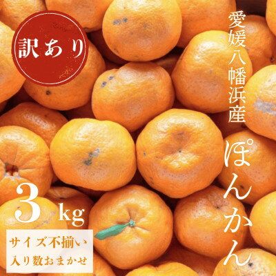【ふるさと納税】【南国を感じさせる独特の香り】訳あり 愛媛ポンカン 3kg【C20-91】【1625439】