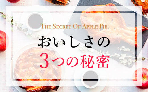 手作りアップルおさつパイ　1本焼き小サイズ　1個＜アップルパイの店　シャルム＞ ふるさと納税 人気 スイーツ アップルパイ 菓子 誕生日 お祝い ギフト りんご リンゴ 林檎 菓子 誕生日 お祝い ギ