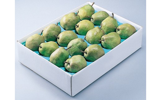 西洋梨（ラフランス）５ｋｇ　１２～１６玉　特秀品　0060-2613