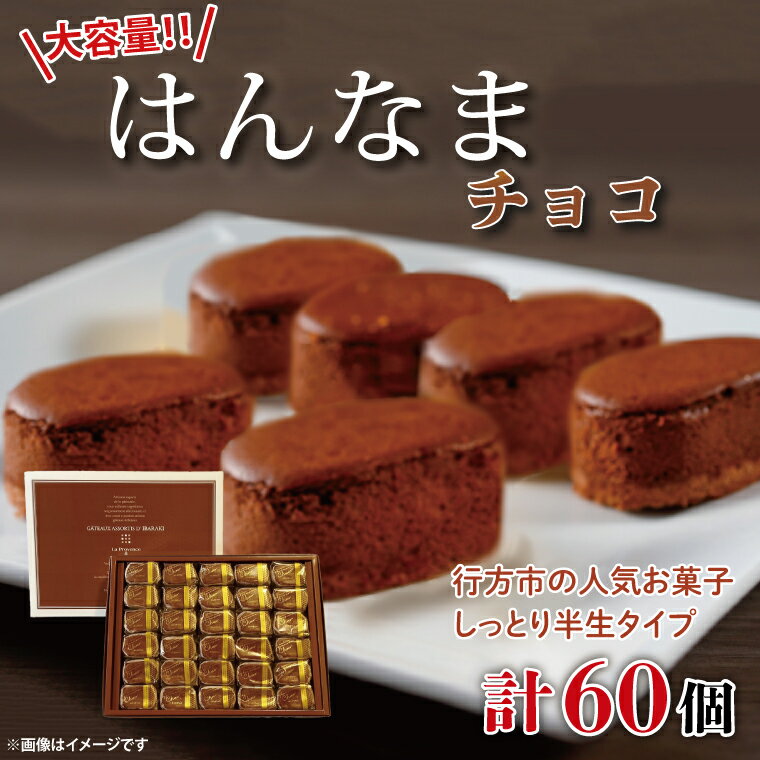 【ふるさと納税】大容量！！はんなまちょこ60個(H-47)