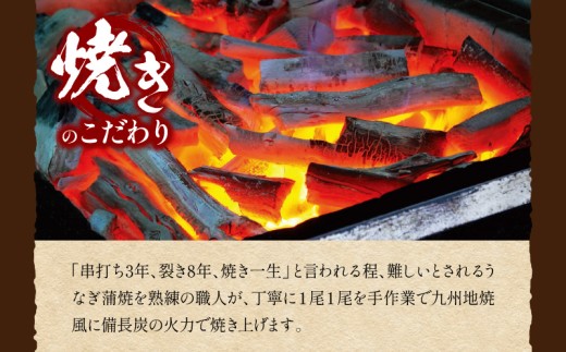 「卵うなぎ」備長炭手焼蒲焼 2尾(計300g)_M159-012-01