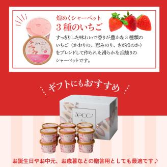 いちごジェラート詰め合わせ(12個入り)_いちご ジェラート 3種類 × 各 4個 100ml 計 12個 詰め合わせ プレミアム いちごミルク あまおう ヨーグルト ホワイトショコラ 紅ほっぺ 煌め