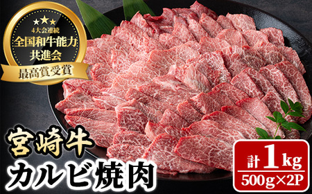 宮崎牛 カルビ焼肉(1kg・500g×2P) 牛肉 肉 ブランド牛  冷凍 国産 精肉 お取り寄せ 黒毛和牛 宮崎県 BBQ【LJ011】【レグセントジョイラー株式会社】