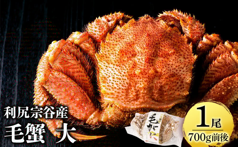 
            【12月20日決済確定分まで年内発送】 利尻島産 毛ガニ 大サイズ （700g前後）1尾＜利尻漁業協同組合＞
          