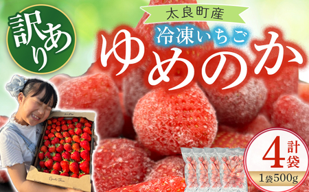 訳あり！太良町産「ゆめのか」冷凍いちご500ｇ×４袋 佐賀県 太良町 NB45